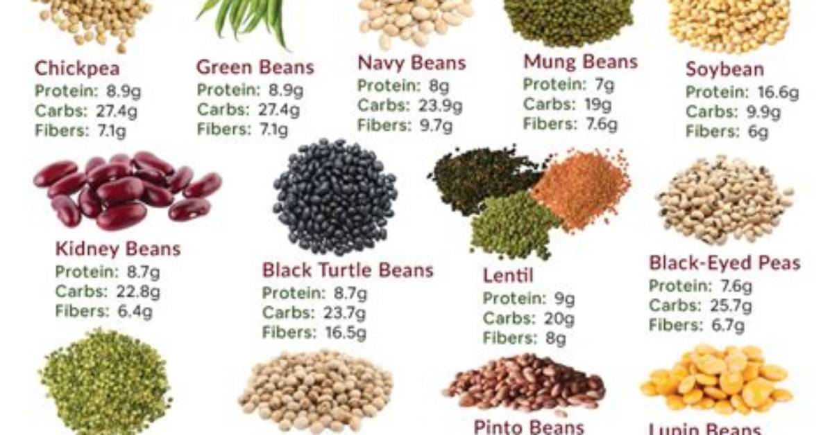 What Does Legume Mean?