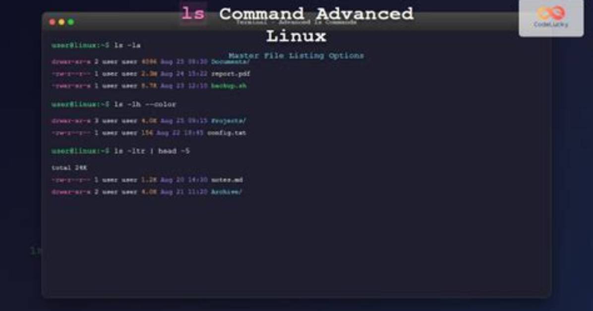 What Does Less Command Do in Linux?