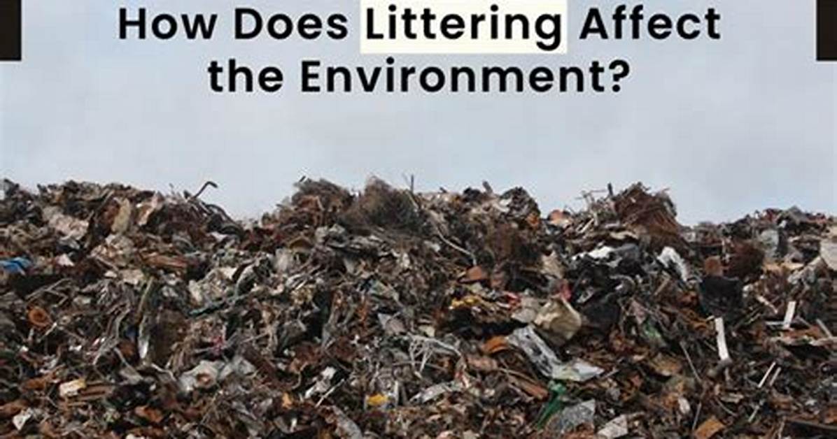 What Does Littering Do to the Earth