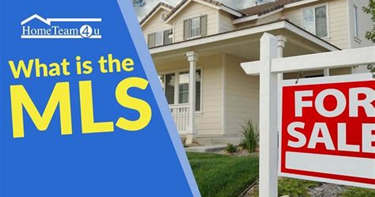 What Does Local Mls Mean