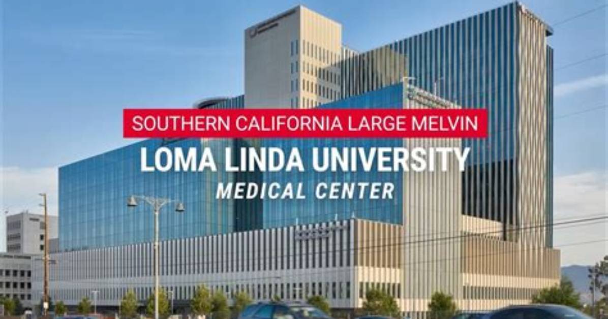 What Does Loma Stand for?