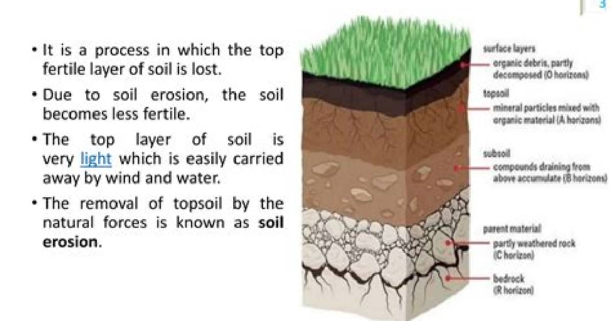 What Does Loose Soil Mean