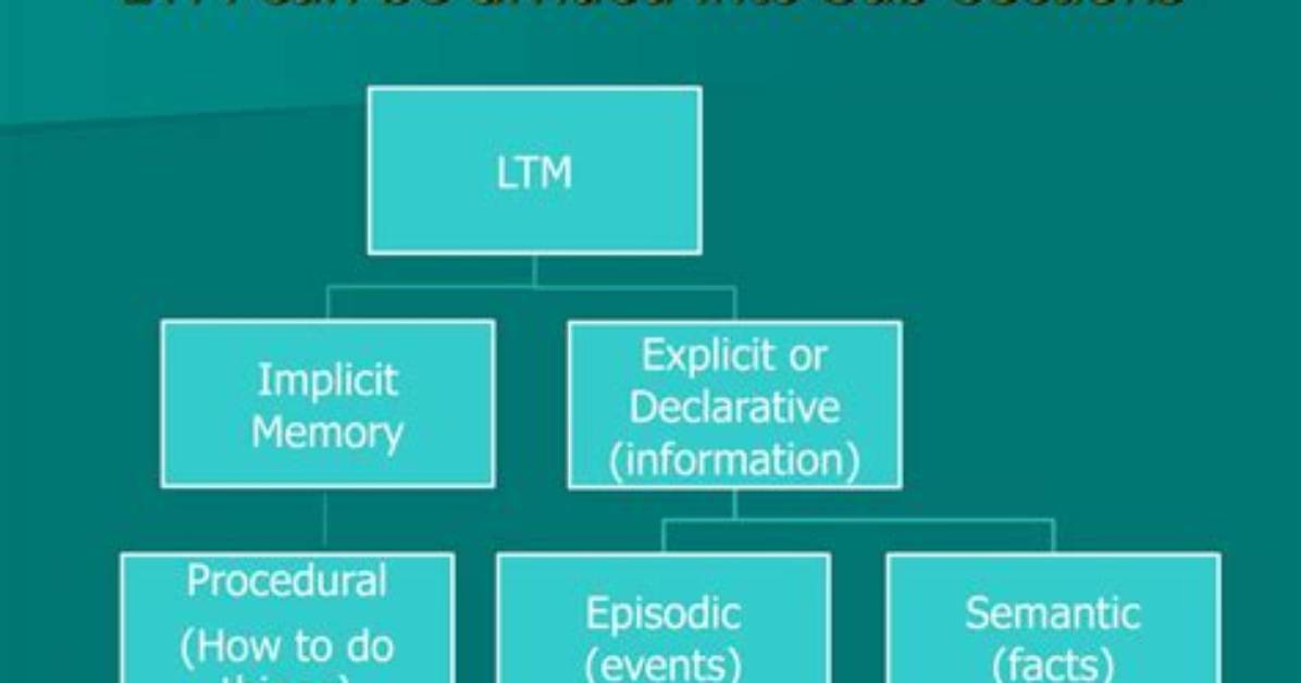 What Does Ltm Mean