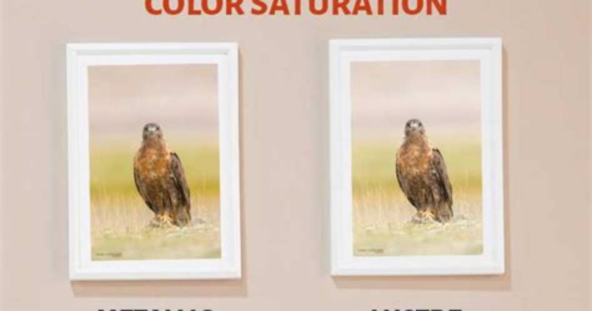 What Does Lustre Mean?