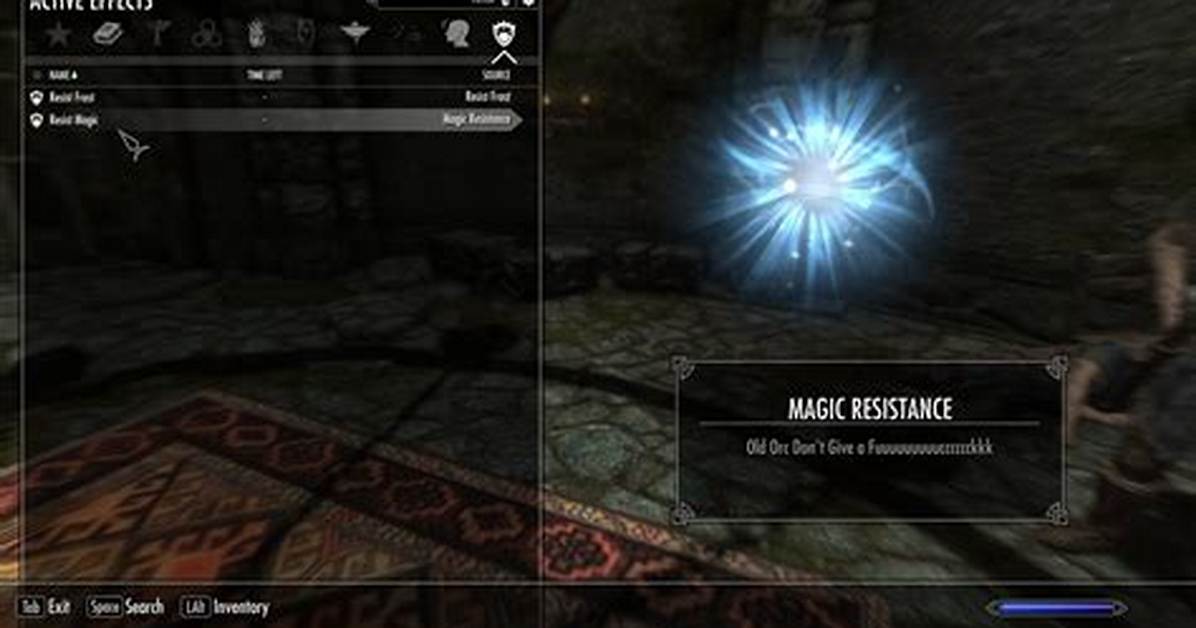 What Does Magic Resistance Do Skyrim?