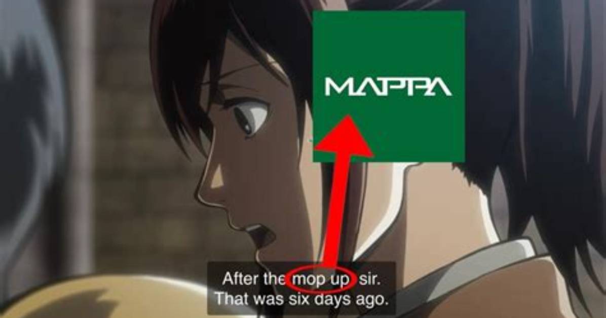 What Does Mappa Stand for?