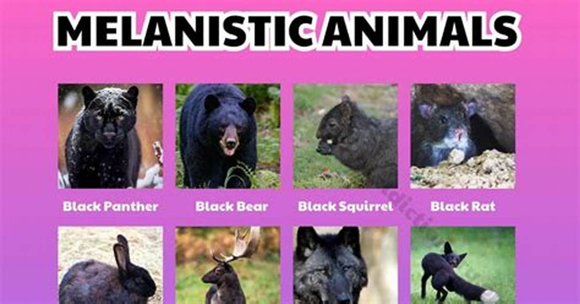 What Does Melanistic Mean?