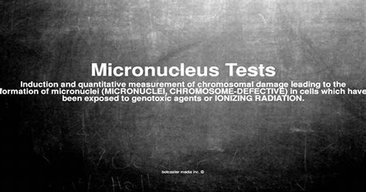 What Does Micronucleus Mean?