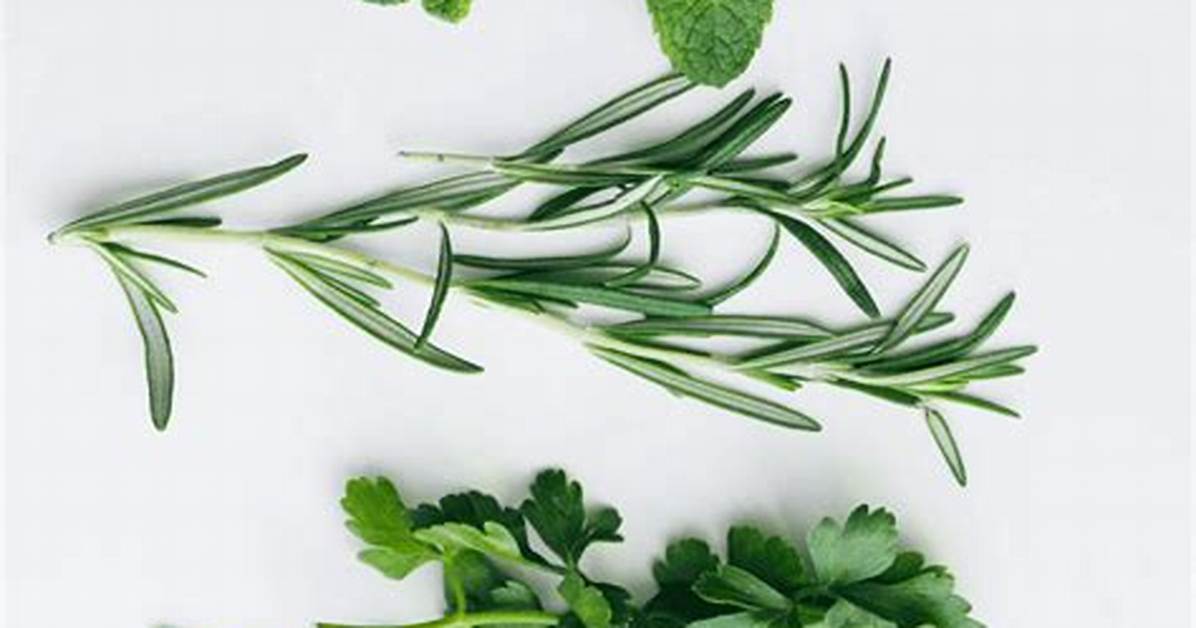 What Does Mixed Herbs Include?