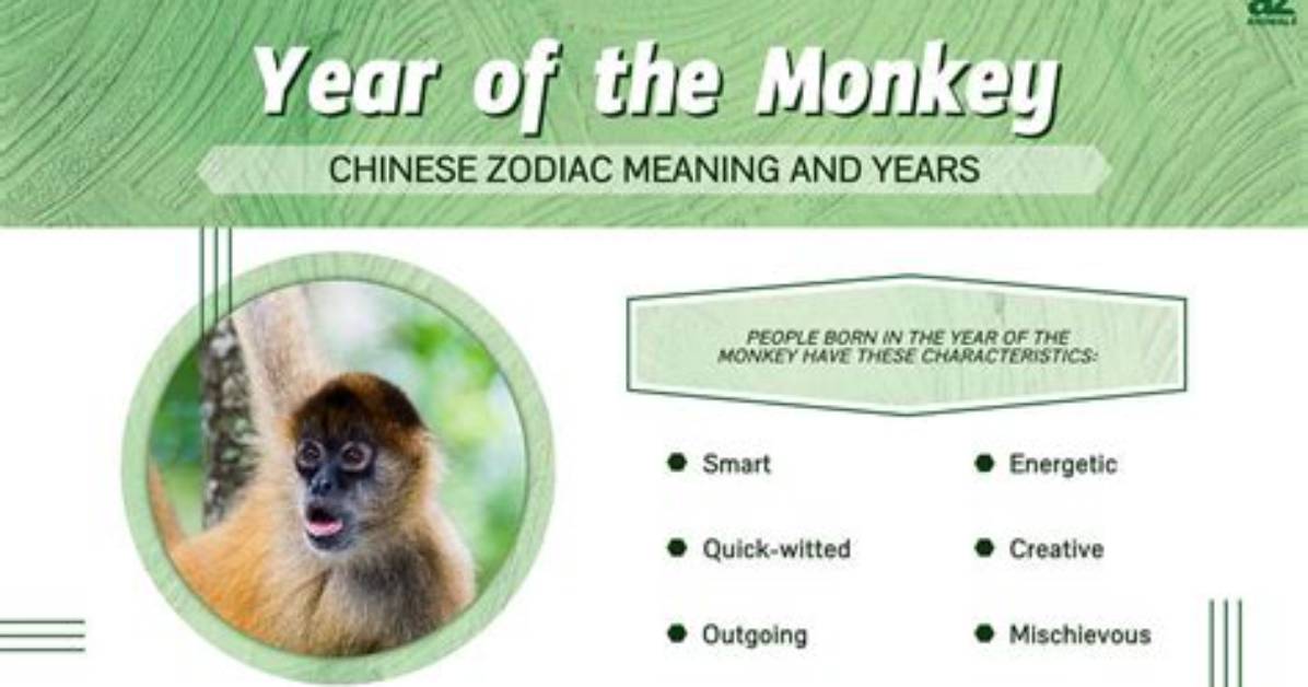 What Does Monkey Mean?