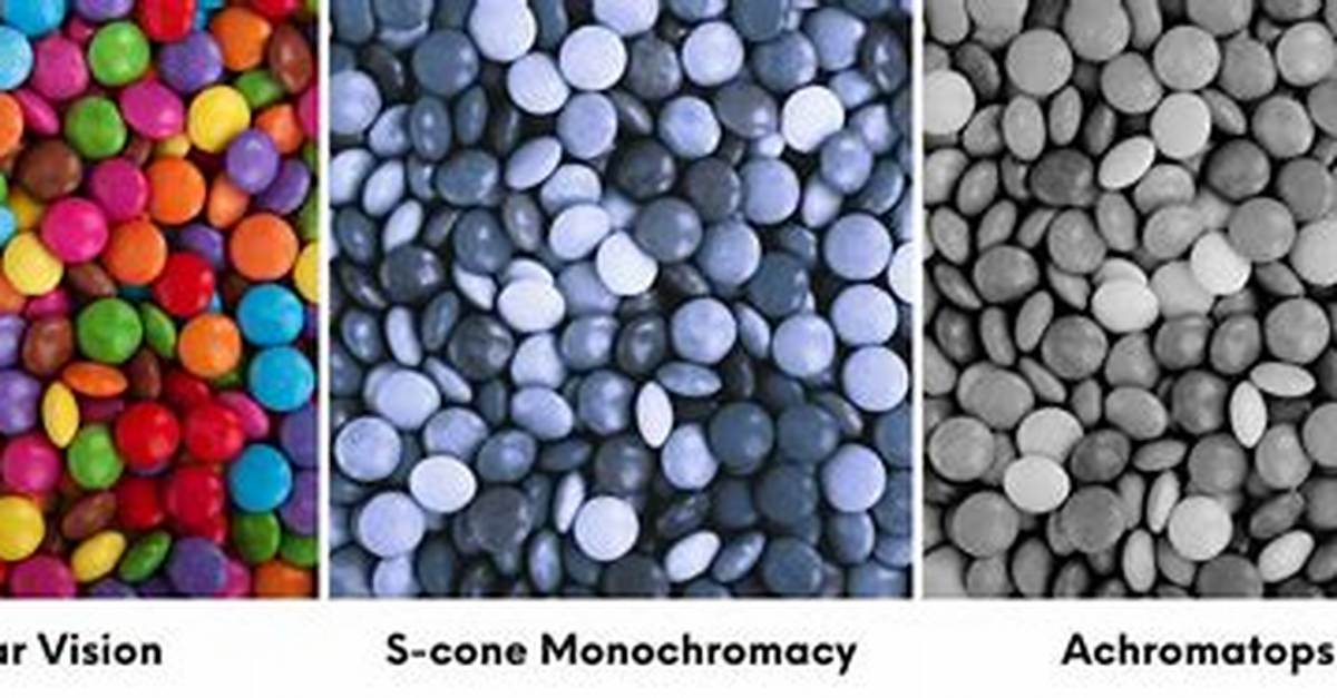What Does Monochromacy Mean