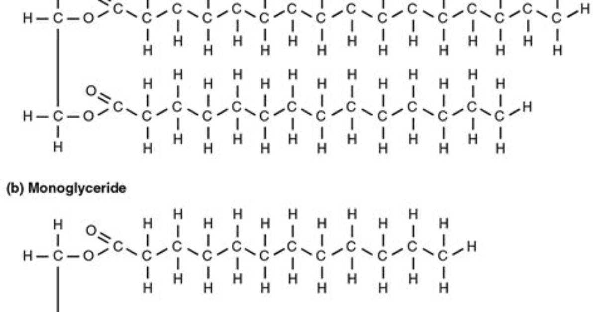 What Does Monoglyceride Do?