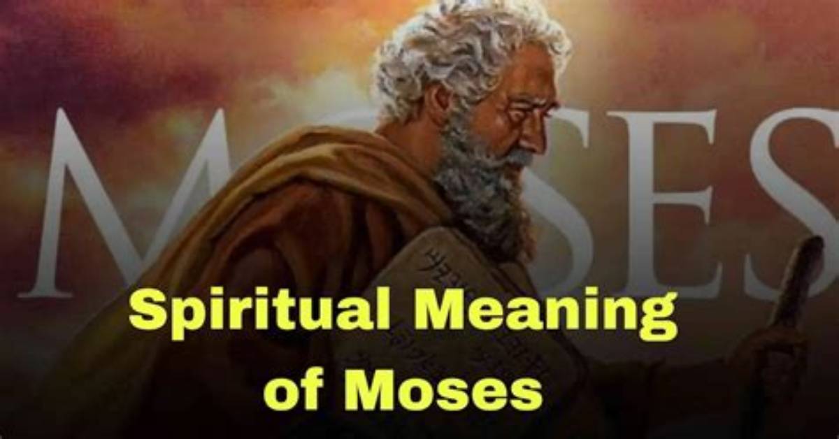 What Does Moses Mean?