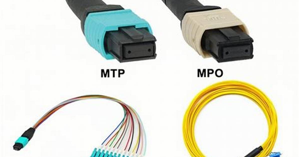 What Does Mpo Stand For