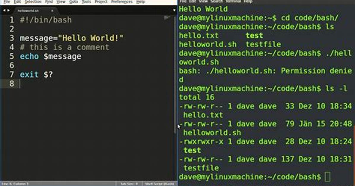 What Does -N Mean in Bash?