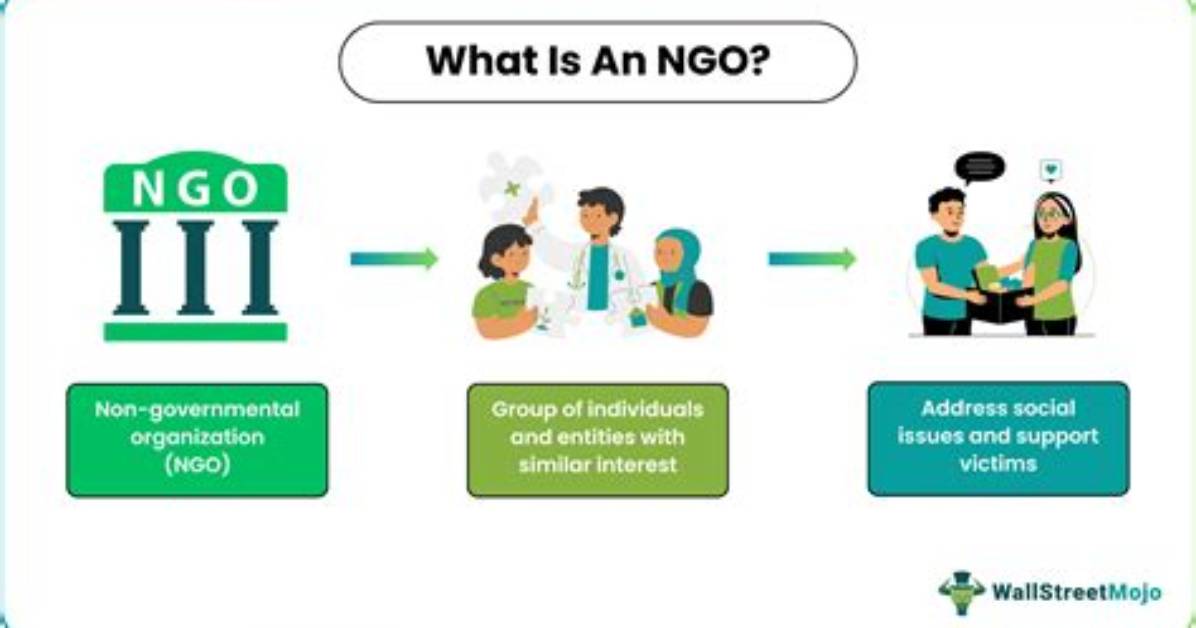 What Does Ngo Stand for?
