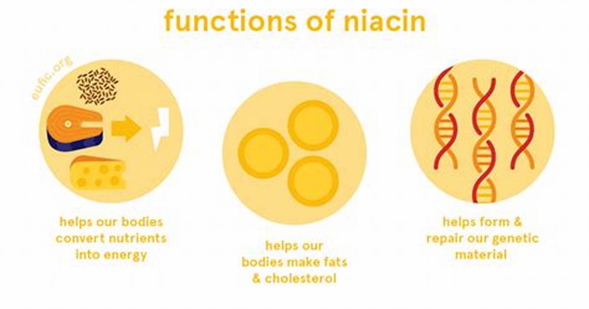 What Does Niacin Do?
