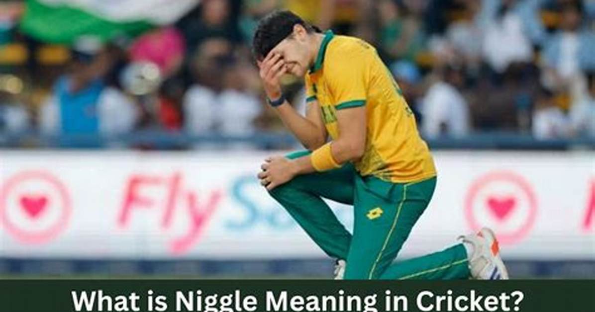 What Does Niggle Mean