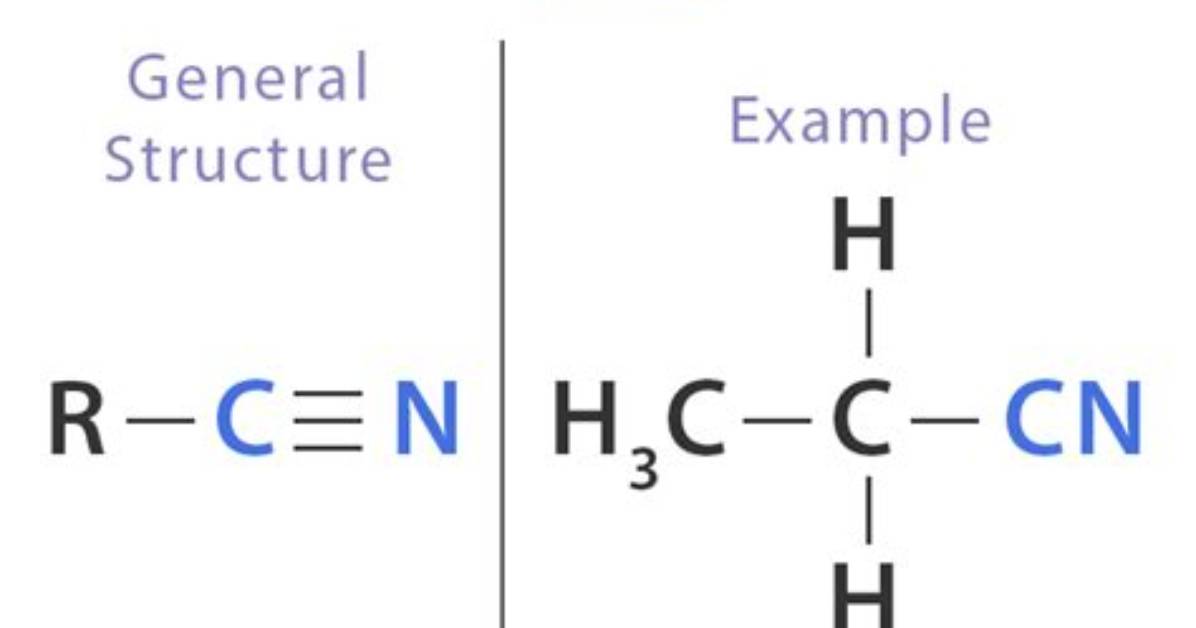 What Does Nitrile Mean?