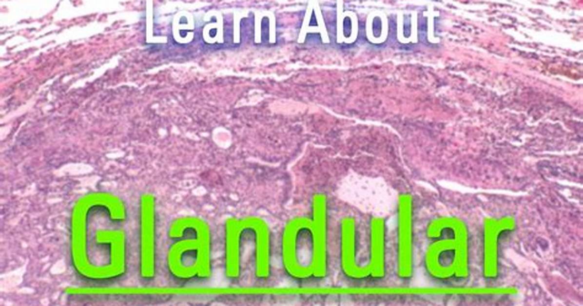 What Does Non Glandular Mean?
