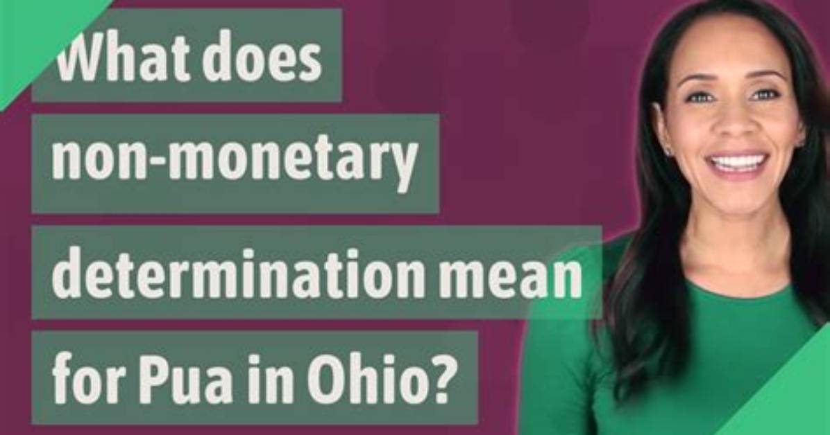 What Does Non Monetary Determination Mean