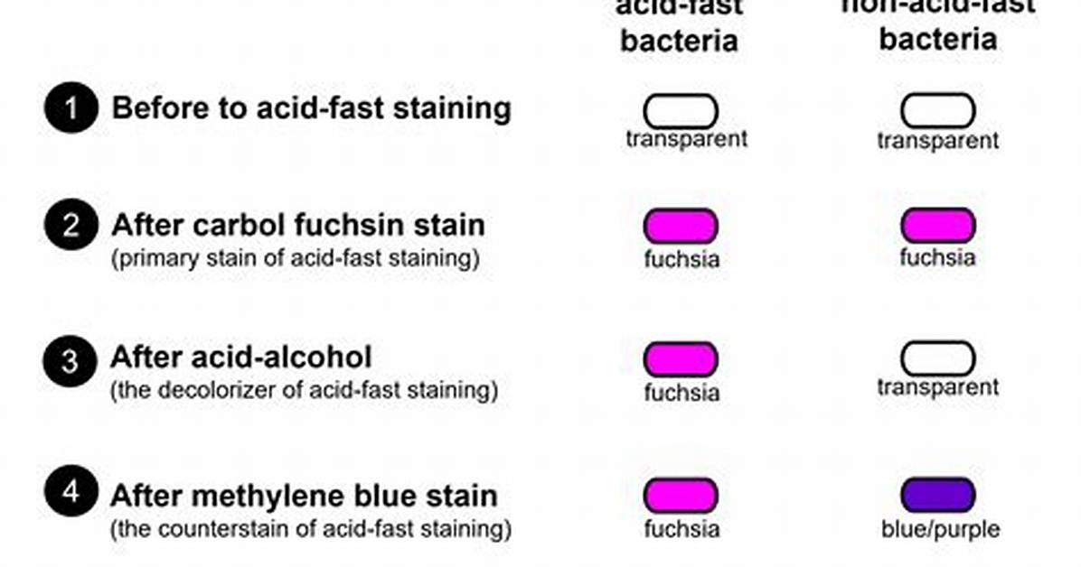 What Does Non Staining Mean?