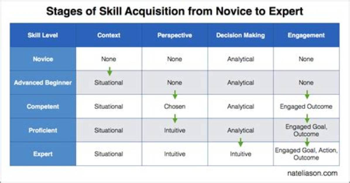 What Does Novice Level Mean?