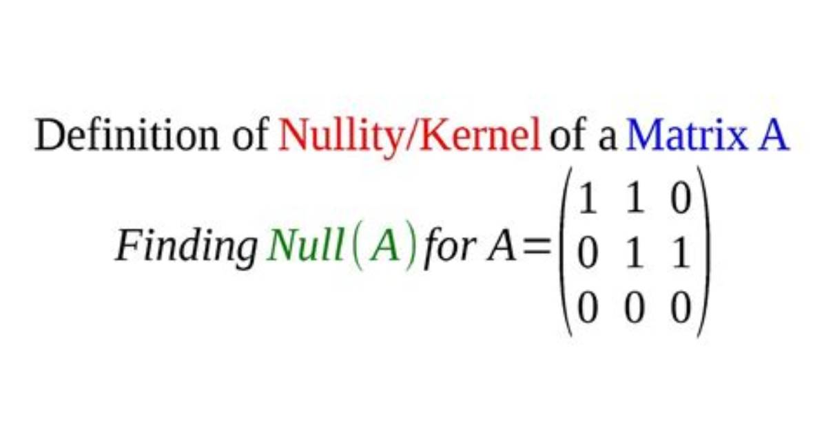 What Does Nullity Mean?