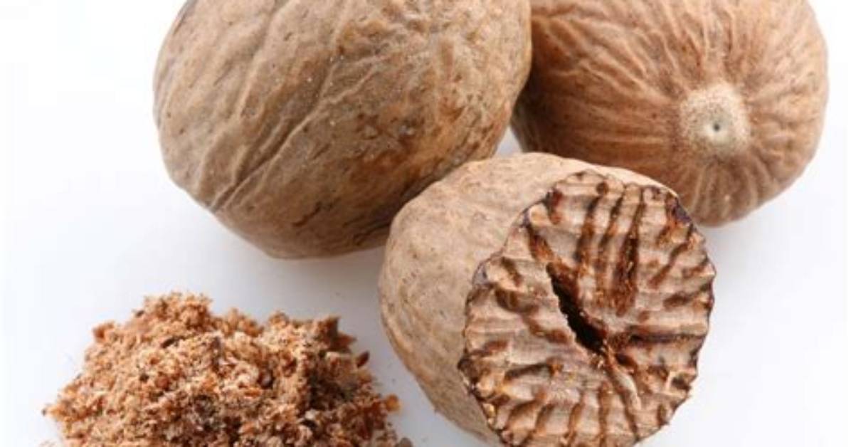 What Does Nutmeg Look Like?