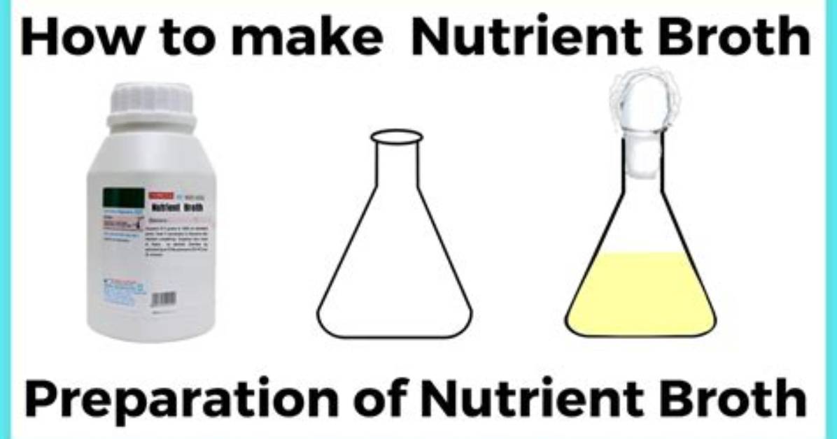 What Does Nutrient Broth Contain