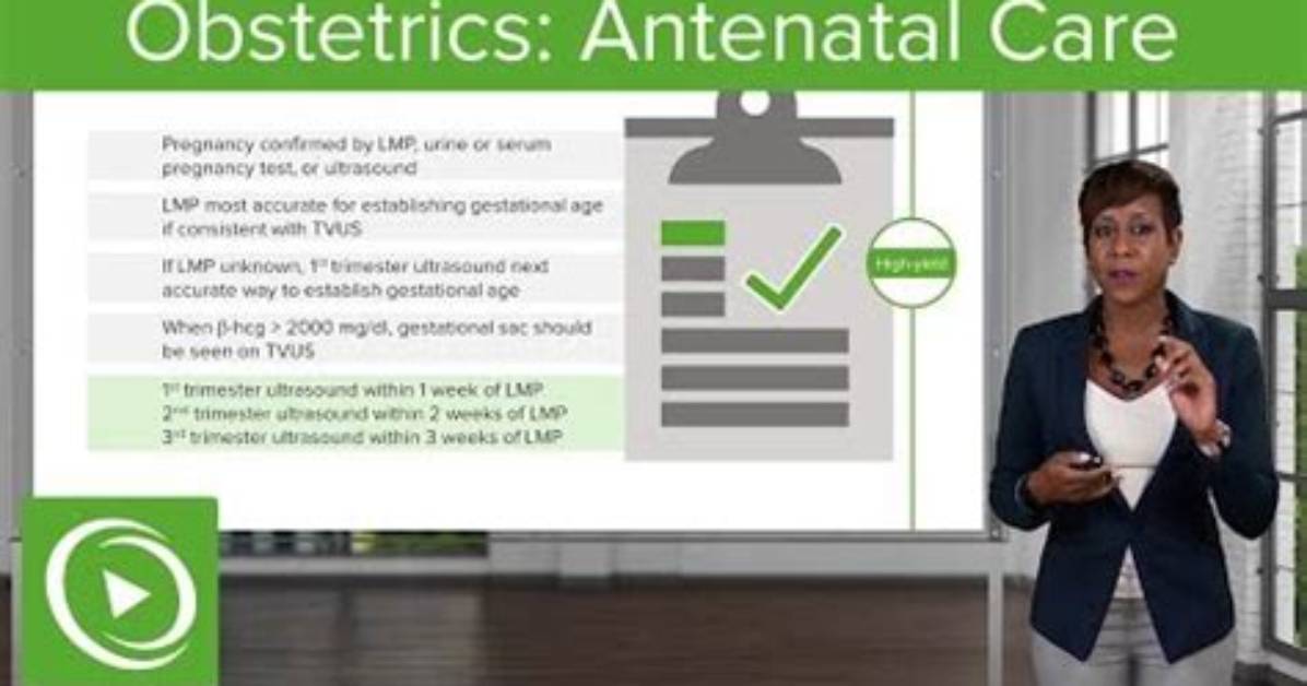 What Does Obstetrical Mean?