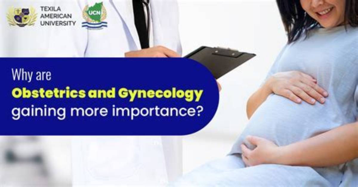 What Does Obstetrics Mean?