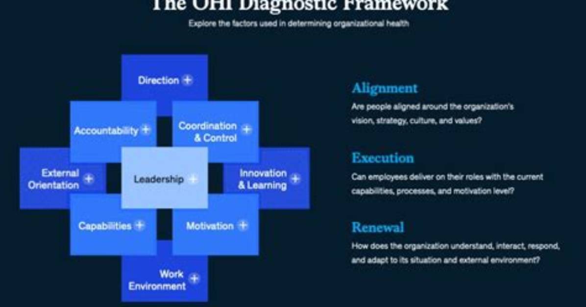What Does Ohi S Measure