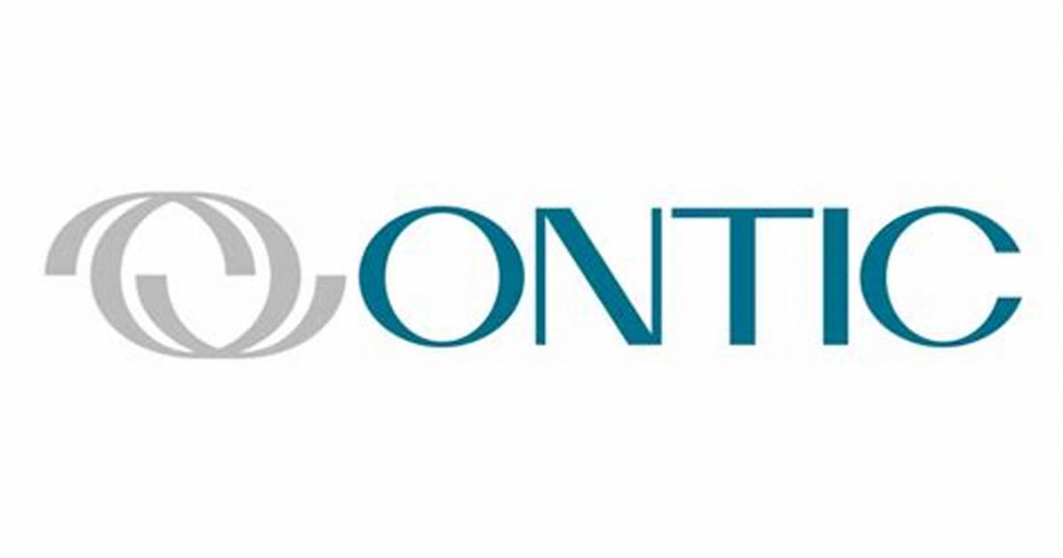 What Does Ontic Mean?