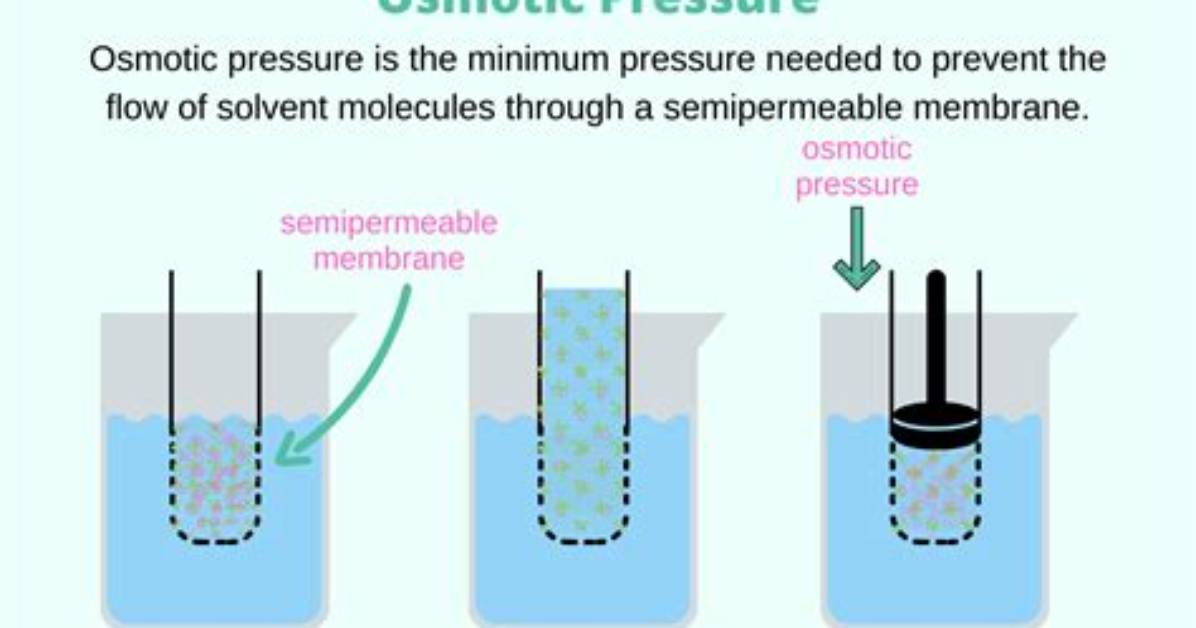 What Does Osmotic Mean?