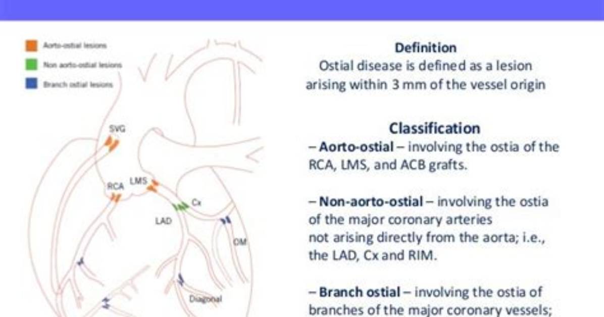 What Does Ostial Mean?