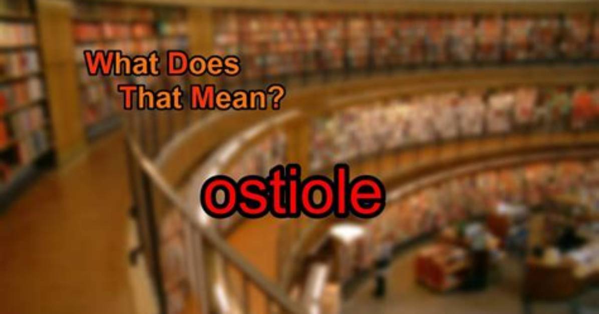 What Does Ostiole Mean?