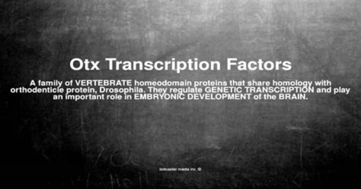 What Does Otx Mean
