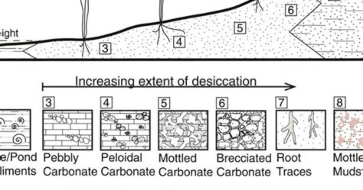 What Does Palustrine Mean?