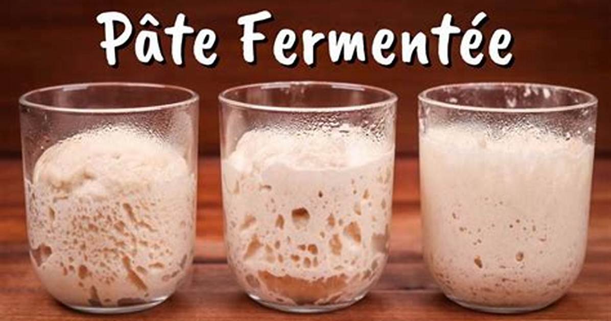 What Does Pate Fermentee Mean