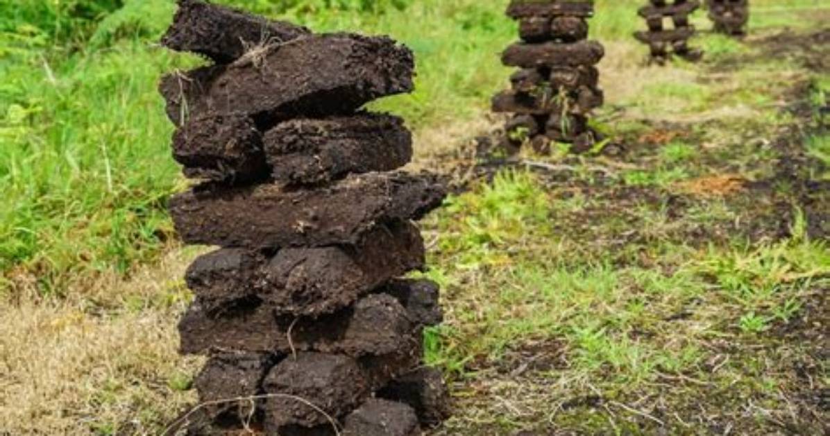 What Does Peat Feel Like