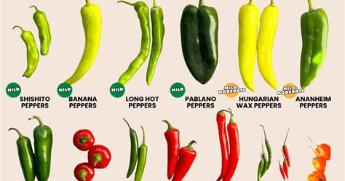 What Does Pepper Mean?
