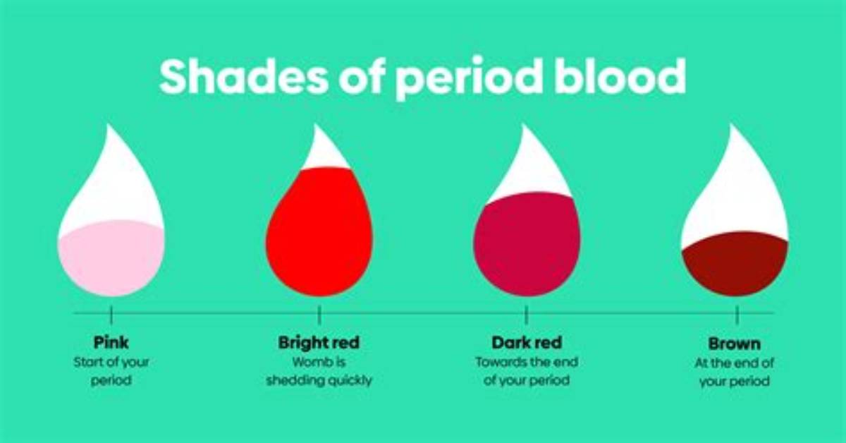 What Does Period Do in Linux?