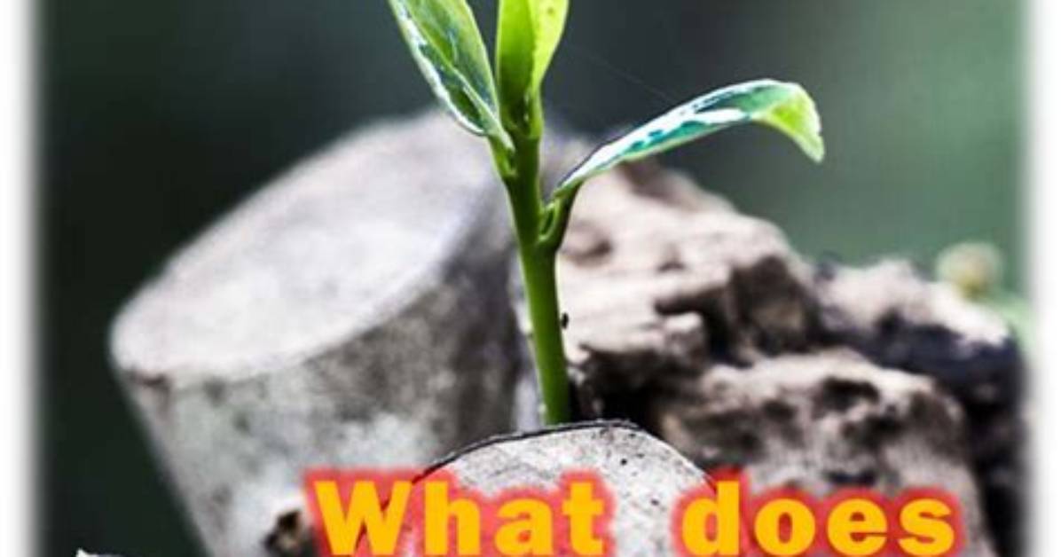 What Does Personal Conversion Mean?