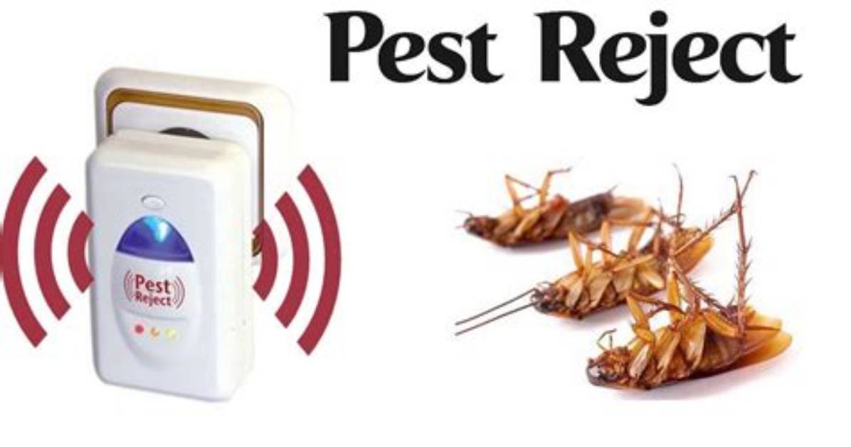What Does Pest Reject Do