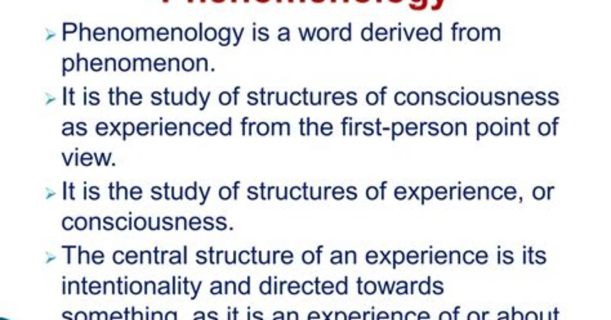 What Does Phenomenality Means?