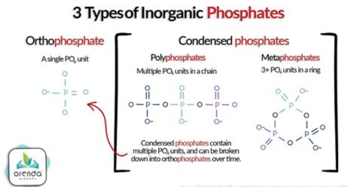 What Does Phosphomolybdate Mean?