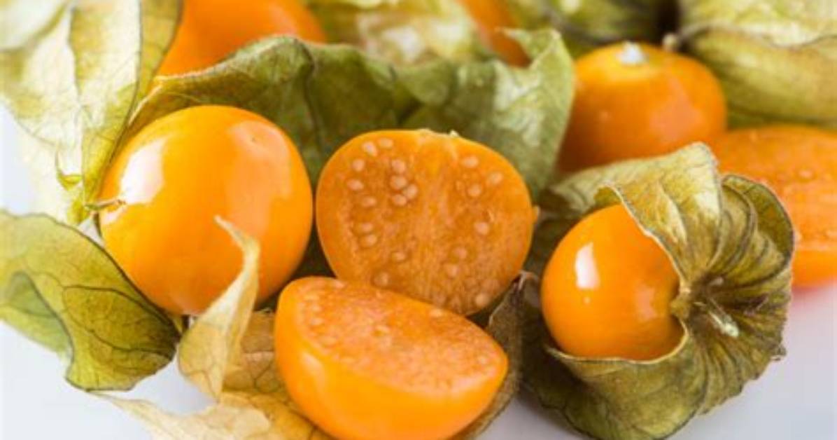 What Does Physalis Taste Like?