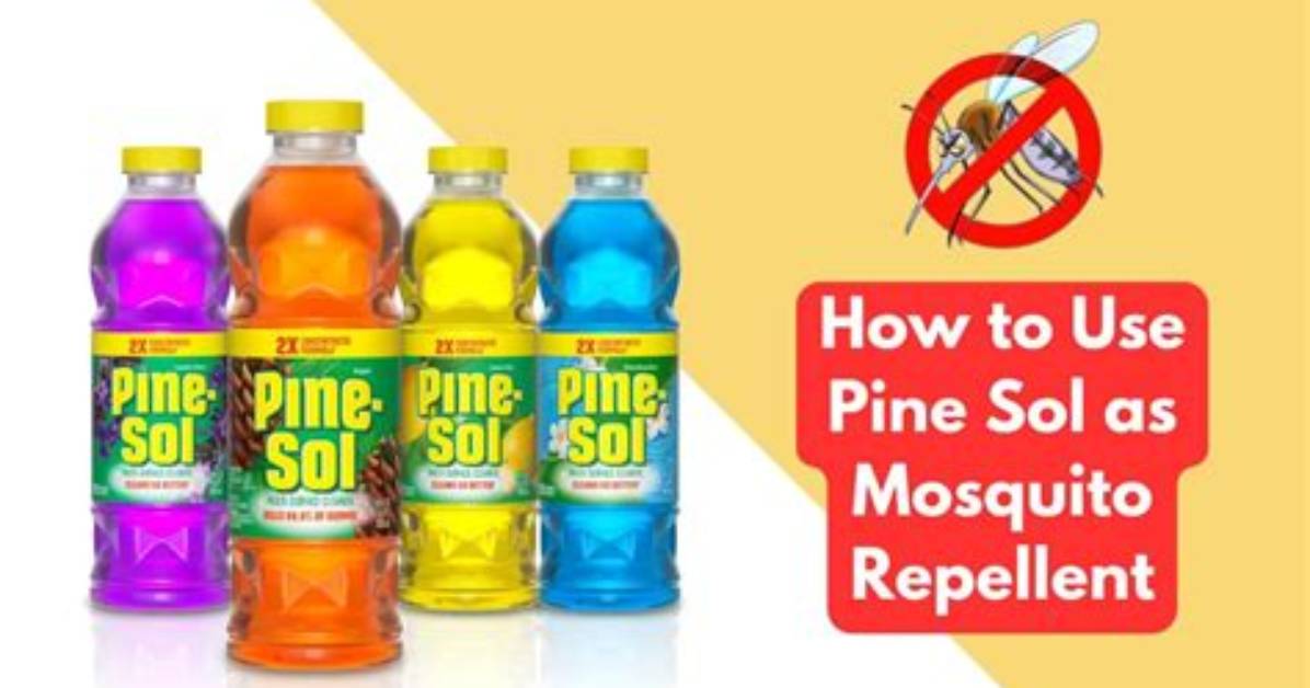 What Does Pine Sol Repel
