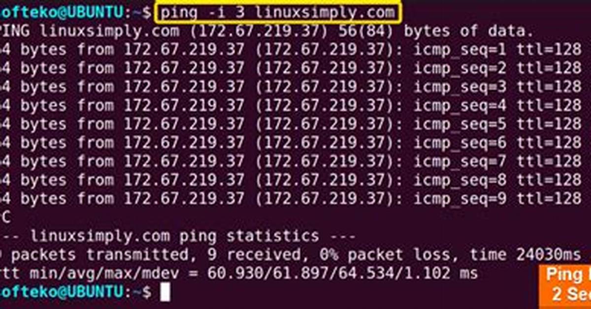 What Does Ping Do in Linux?